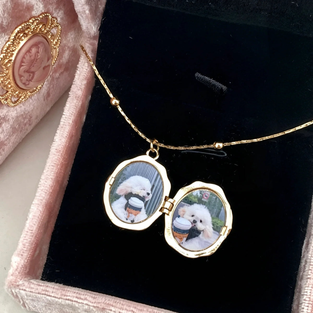Custom Pet Photo Locket